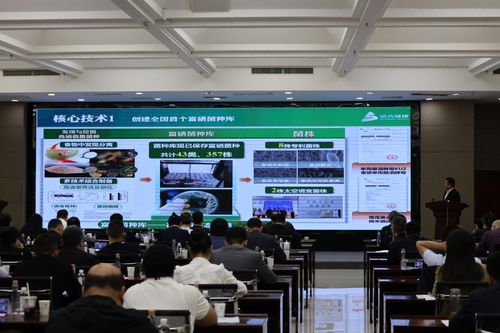 2025企创融通汇富硒产业专题现场活动成功举办，信息技术咨询服务赋能产业升级